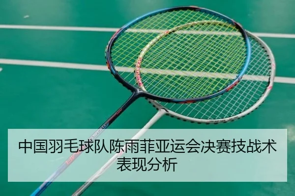 中国羽毛球队陈雨菲亚运会决赛技战术表现分析（yinhe）